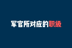 军官所对应的职级图片