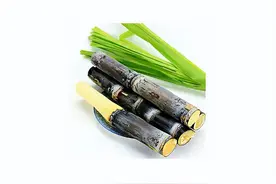 “事后吃了紧急避孕药，怎么会怀孕？”图片