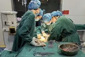 “迷路”的节育环图片