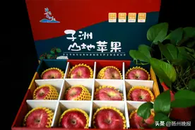 #2024榆扬对口帮扶农特产展#八方“优品好物”云集年货大集图片