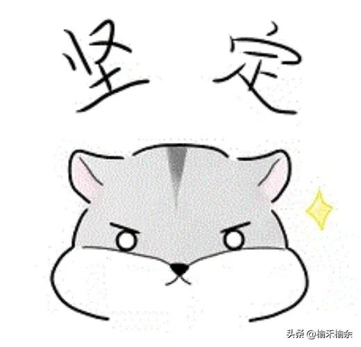 一大波韩娱小说来袭！言情耽美无Cp，BigBang，EXO，BTS，SVT等等