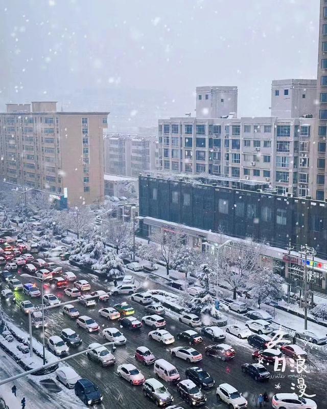 ​山舞银蛇 原驰蜡象！河津迎来2024年第一场雪