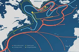 地球的“顶流”要“塌房”了？这次或许是真的图片