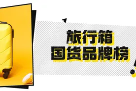 旅行箱十大国货之光品牌，时尚耐用具备质感图片