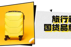旅行箱十大国货之光品牌，时尚耐用具备质感图片