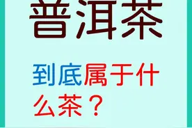 普洱茶到底属于什么茶？还有人傻傻分不清！图片