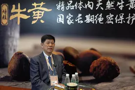培植牛黄量产可达年产800公斤，牛黄荒有望缓解图片