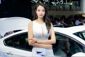 别让鸟粪毁了爱车的面子！掌握这些知识，轻松应对车漆损伤！图片