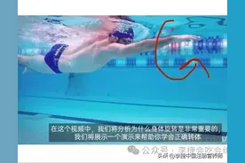 自由泳为何要转体？角度适可而止，过犹不及。成人不要为了转而转图片