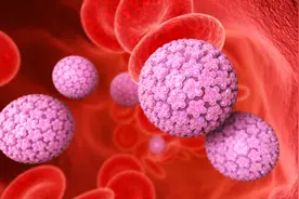 全球女性闻风丧胆的病毒，其实男性也会得！别害怕！由阳转阴，中医防治有妙招！图片