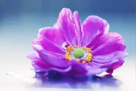 人啊，熬过去，你就赢了！（渡了无数人）图片