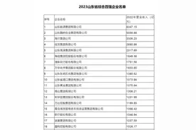浙江超越山东要多久 从百强企业榜单看两省真实实力图片