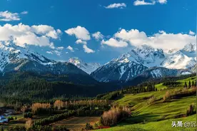 是对生命最好的交待图片