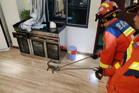 海南儋州出现“五爪金龙”，藏身居民家中，全身长满坚硬的鳞甲图片