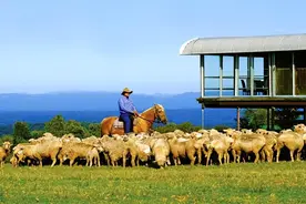 从囚犯流放之地，到如今的发达国家，澳大利亚只靠农牧业发家的？图片