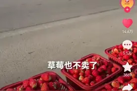 草莓摊主帮换轮胎 6位美女崇拜围观图片