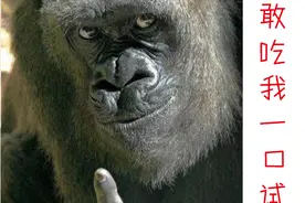 闲读《山海经》南山一经001图片