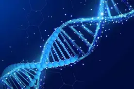 N1南虽然9500年前就到了山东，但他从来不是山东的主体人群图片