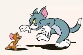 猫和老鼠图片