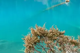 升职了，领导说“恭喜”，笨蛋才说“感谢领导的提拔和栽培”，聪明人这样说图片