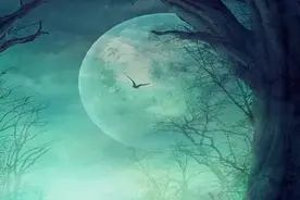 惊悚故事图片