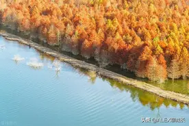 “命苦之人，一看便知”：命苦之人张口闭口都是3句话，别不信！图片