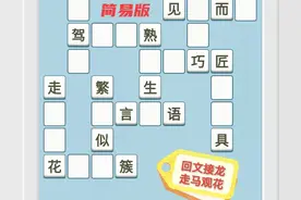 成语挑战：简易版0118，回顾整理：简易版0113图片