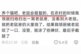 原来动物还有这么可怕的一面！老鼠除了报复心极强，还能听懂人话图片