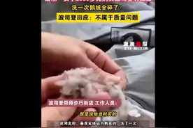 2000多元的羽绒服洗完剪开全是碎末？波司登回应 律师：如果真存在质量问题 可主张3倍赔偿！图片