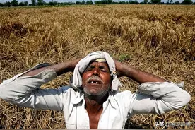 都是14亿人口，为什么中国满世界买粮食，印度却在大量出口粮食？图片