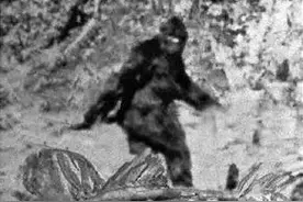 神农架野人传说：未解之谜的探索图片