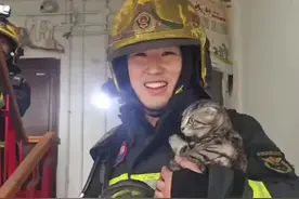 猫咪获救后躲在消防员怀里图片