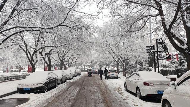 ​山舞银蛇 原驰蜡象！河津迎来2024年第一场雪