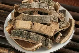 中药新药性歌之海桐皮图片