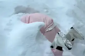 南方小土豆居然这样玩雪?这引发网友们的热议!图片