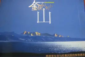 王莉《金瓶似的小山》音乐专辑介绍与分享图片