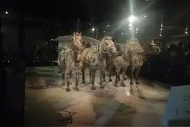 秦俑发掘领队出书揭秘兵马俑发掘手记《寻秦迹》带您走进被掩盖的秦史图片
