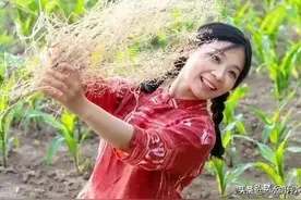 我妈连生6个女儿，长舌妇笑话我家没儿子，如今全村人都羡慕我妈图片