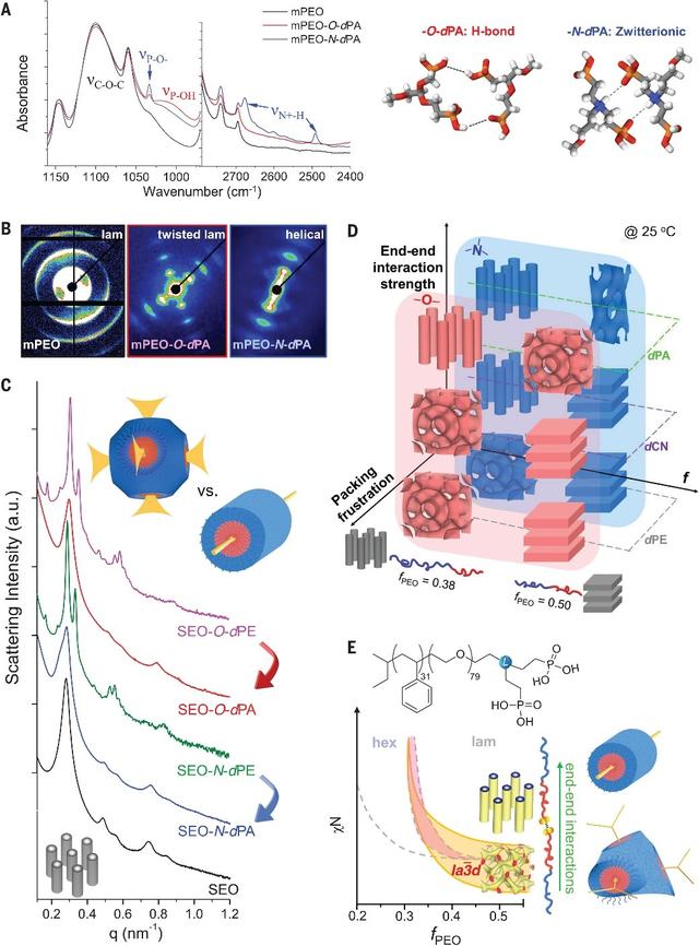 Science：嵌段共聚物中热力学稳定的“管道工噩梦”结构