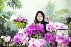 催花牡丹鲜切花 成“消费新宠”图片