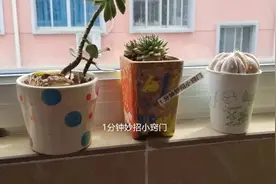 不管阳台有多大，有3样东西不能放阳台，不是迷信，涨知识了图片