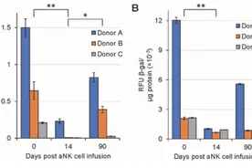 多个临床研究数据证实，NK细胞对延缓衰老起到重要作用图片
