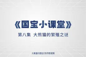 大熊猫系列科普短视频|《国宝小课堂》第八期图片