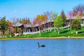 2月1日起，云南大学面向社会全面开放校园图片