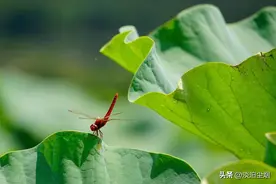 人一旦翻脸，就不要想着再和好了图片