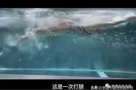 四种泳姿蝶仰蛙自正确的技术动作解析图片
