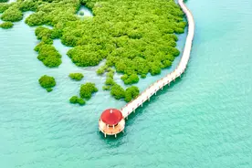 中国大陆最南端城市，没有冬天，海鲜吃到爽。图片