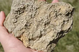 凭栏·福见三明丨地质家园讲述大田亿万年沧海桑田图片