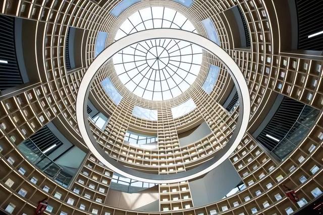 从“闵大荒”到“科创湾区”：南部科创中心视角下的闵行地区发展回顾与展望