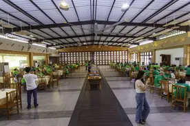 药膳餐厅走红，四种入局方式，为大健康产业再添一把“火”图片